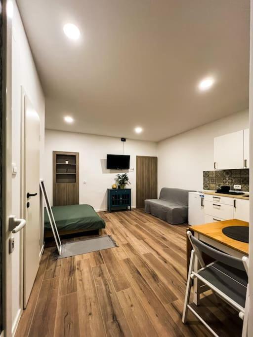Studio Apartment Joanna Rijeka Ngoại thất bức ảnh